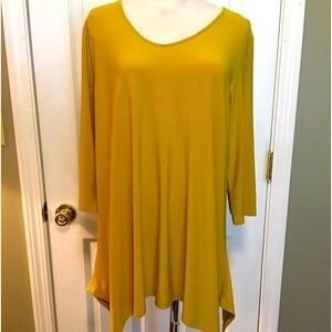 Alisha d Womens medium pull on tunic top. Casual, minimalist, contemporary, fall